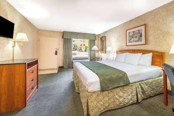 Suite, 1 King Bed, Non Smoking (One-Bedroom Suite)
