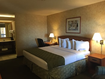 Suite, 1 King Bed, Non Smoking (One-Bedroom Suite)