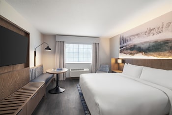Room, 1 King Bed, Accessible (Mobility, Roll-In Shower)