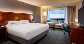 Room, 1 King Bed