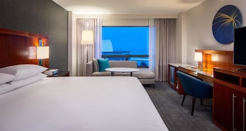 Room, 1 King Bed