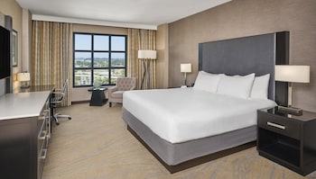 Room, 1 King Bed