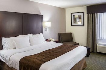 Room, 1 King Bed, Non Smoking