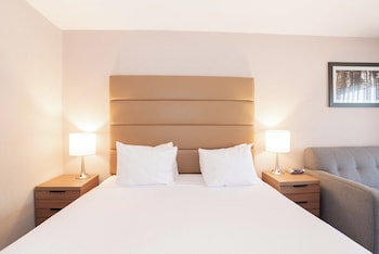 Standard Room, 1 King Bed with Sofa bed