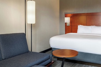 Room, 1 King Bed with Sofa bed
