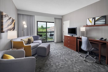 Room, 1 King Bed with Sofa bed
