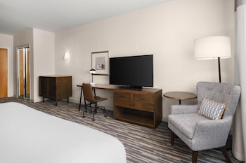 Standard Room, 1 King Bed, Non Smoking (Shower Only)