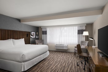 Standard Room, 1 King Bed, Accessible, Non Smoking
