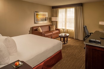 Room, 1 King Bed, Pool View