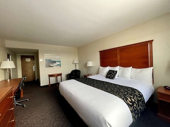 Standard Room, 1 King Bed, Non Smoking, Refrigerator & Microwave