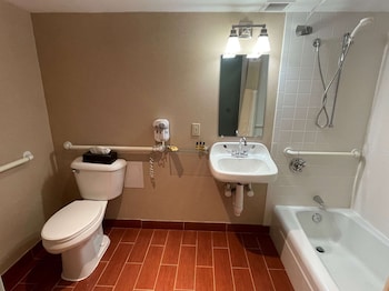 Standard Room, 1 King Bed, Accessible, Bathtub
