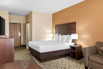 Standard Room, 1 King Bed
