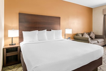 Standard Room, 1 King Bed