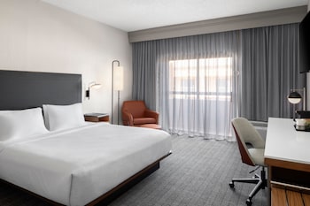 Room, 1 King Bed with Sofa bed