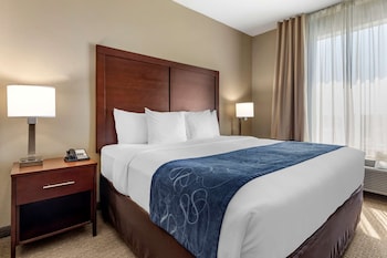 Suite, 1 King Bed with Sofa bed, Non Smoking