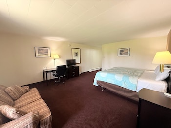 Room, 1 King Bed