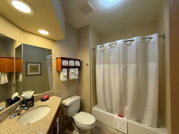 Standard Room, 1 King Bed, Accessible, Refrigerator & Microwave