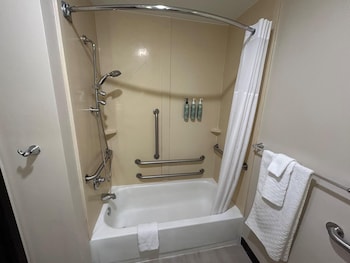 Standard Room, 1 King Bed, Accessible, Refrigerator & Microwave (with Sofabed)