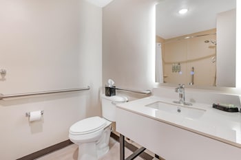 Standard Room, 1 King Bed, Accessible, Refrigerator & Microwave (with Sofabed)