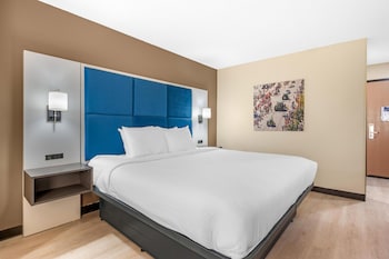 Standard Room, 1 King Bed, Non Smoking, Refrigerator & Microwave