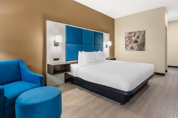 Standard Room, 1 Queen Bed, Accessible, Refrigerator & Microwave