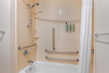 Standard Room, 1 King Bed, Accessible, Refrigerator & Microwave (with Sofabed)