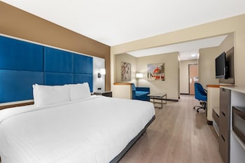Standard Room, 1 King Bed, Accessible, Refrigerator & Microwave (with Sofabed)