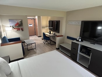 Standard Room, 1 King Bed, Accessible, Refrigerator & Microwave (with Sofabed)