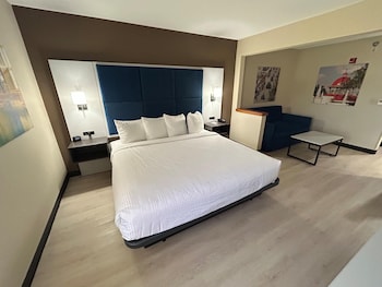 Standard Room, 1 King Bed, Non Smoking, Refrigerator & Microwave (with Sofabed)