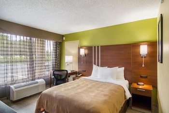 Deluxe Room, 1 Double Bed