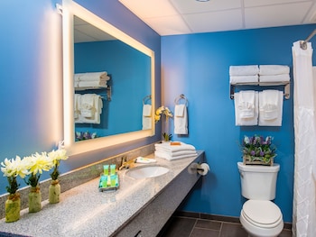 Family Studio Suite
