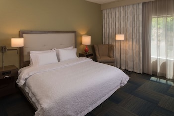Room, 1 King Bed, Non Smoking, Refrigerator
