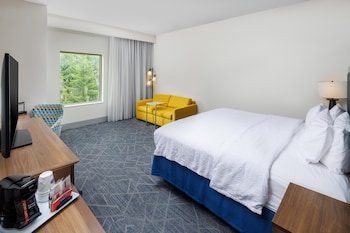 Room, 1 King Bed with Sofa bed, Non Smoking, Refrigerator & Microwave