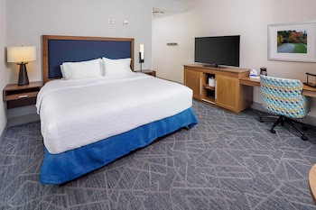 Room, 1 King Bed, Accessible, Bathtub