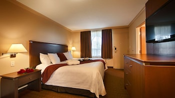 Standard Room, 1 King Bed, Non Smoking (with Sofabed)