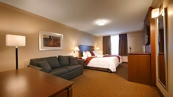 Standard Room, 1 King Bed, Non Smoking (with Sofabed)