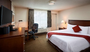 Standard Room, 1 Queen Bed, Non Smoking