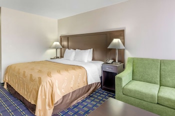 Standard Room, 1 King Bed, Non Smoking