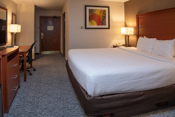Standard Room, 1 King Bed, Non Smoking