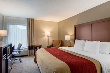 Room, 1 King Bed, Accessible, Non Smoking