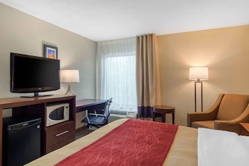 Room, 1 King Bed, Accessible, Non Smoking