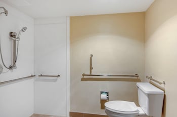 Room, 1 King Bed, Accessible, Non Smoking