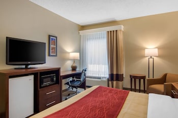 Room, 1 King Bed, Accessible, Non Smoking