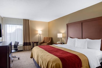 Standard Room, 1 King Bed, Non Smoking