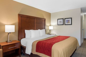 Room, 1 King Bed, Accessible, Non Smoking