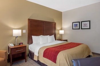 Room, 1 King Bed, Accessible, Non Smoking