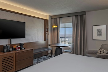Room, 1 King Bed
