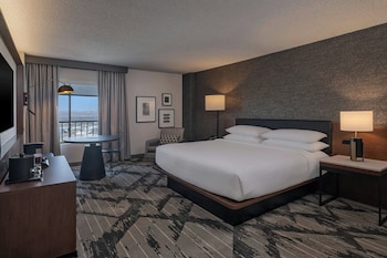Room, 1 King Bed