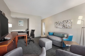Suite, 1 King Bed with Sofa bed