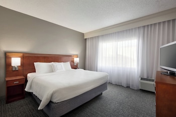 Suite, 1 King Bed with Sofa bed
